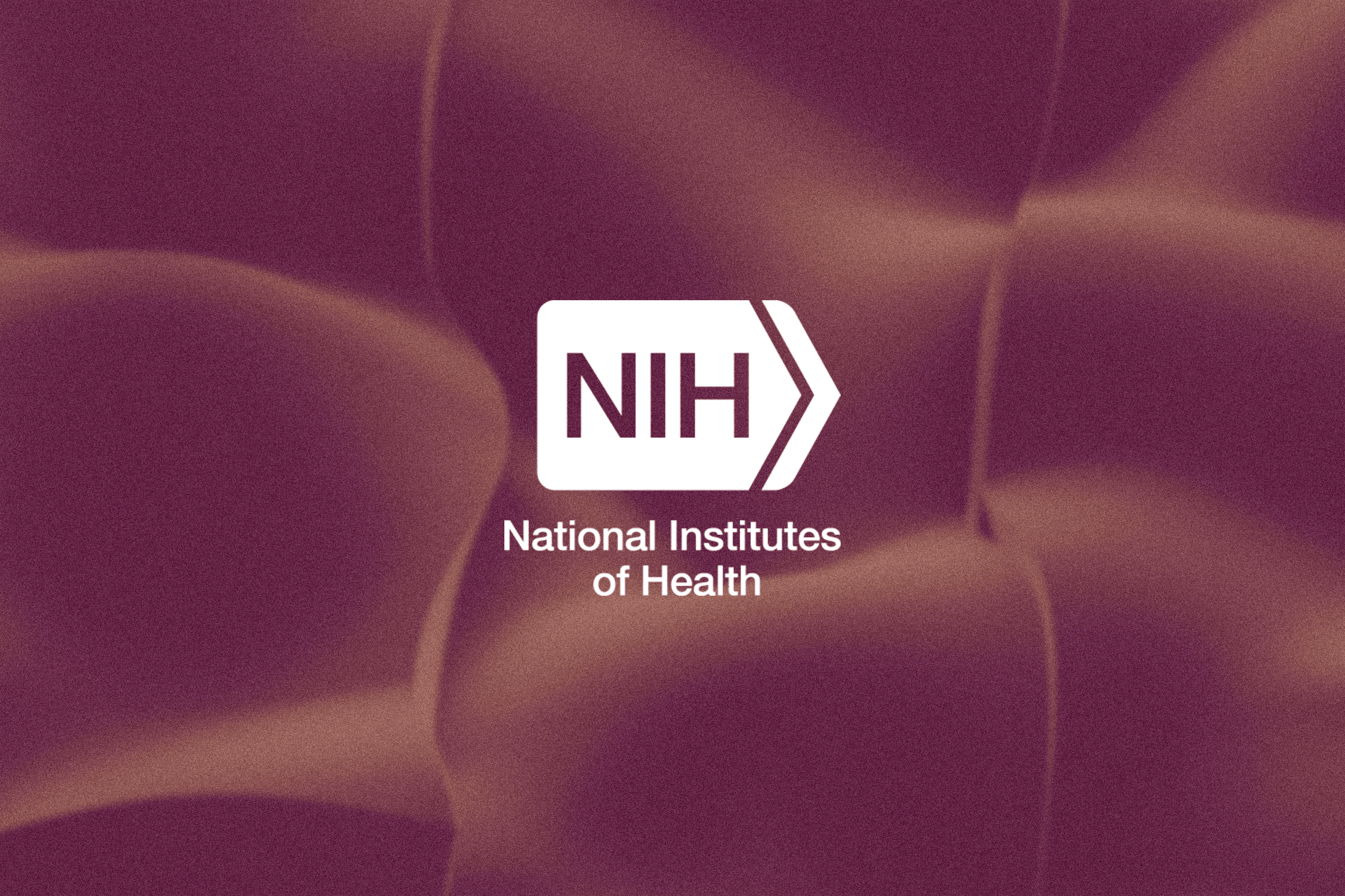 $1.5M R01 Grant Awarded to Use LLMs to Improve Patient Understanding of Medical Information